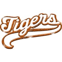 GLT78 ORANGE GLITTER Thumbnail